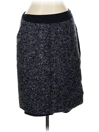 Pre-owned Akris Punto Casual Skirt In Blue