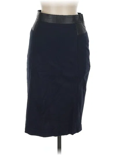 Pre-owned Akris Punto Formal Skirt In Blue