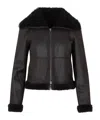 Shop Akris Shearling-collar Leather Jacket In Black