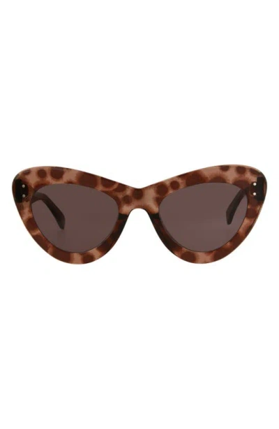 Alaïa 52mm Rounded Cat Eye Sunglasses In Brown Brown Brown