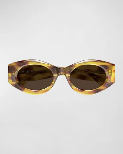 Alaïa 99mm Acetate Oval Sunglasses In Brown