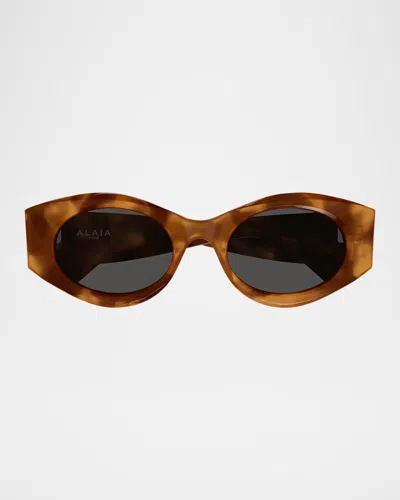 Alaïa Aa0080s Round Acetate Sunglasses In Avana