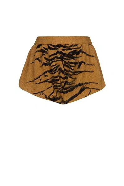 Alaïa Alaϊa Tiger Short In Brown