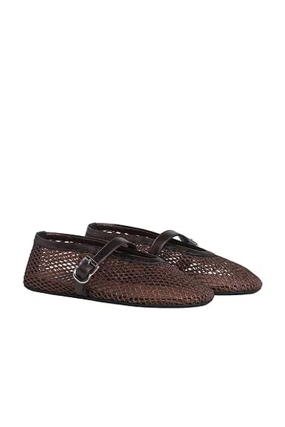 Alaïa Patent Leather-trimmed Mesh Ballet Flats In Brown