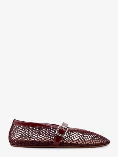 Alaïa Patent Leather-trimmed Mesh Ballet Flats In Brown