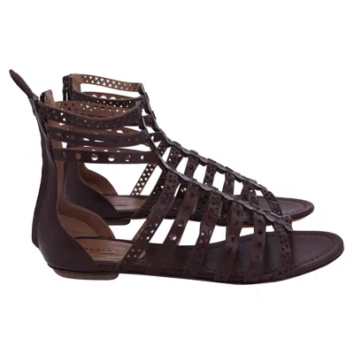 Alaïa Alaia Bordeaux Gladiator Flat Sandals In Brown Leather In Red