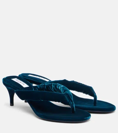 Alaïa Boudoir 55 Velvet Thong Sandals In Blue