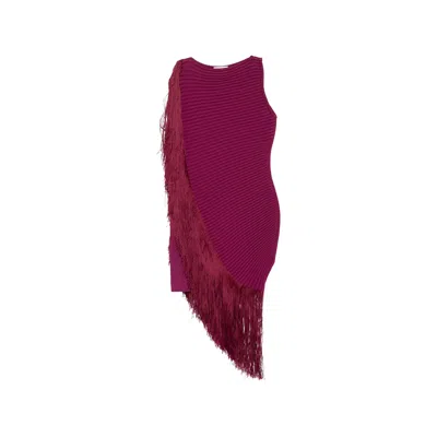 Alaïa Alaia Asymmetric Fringed Knit Dress With High Neck And Slim Fit In Burgundy