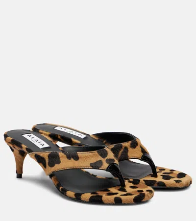 Alaïa Sandalen Infradito 55 Aus Kalbshaar
