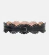 Alaïa Alaia Vienne Black Perforated Leather Belt Women In Black
