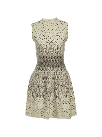 Pre-owned Alaïa Leopard-pattern Mini Dress In Neutral