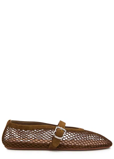 Alaïa Mesh And Suede Ballet Flats In Brown
