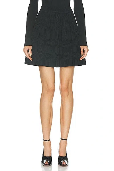 Alaïa Mini Skirt In Noir Alaia