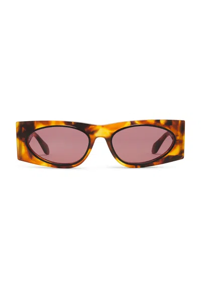 Alaïa Oval Transparent Sunglasses In Havana & Red