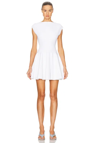 Alaïa Skater Dress
