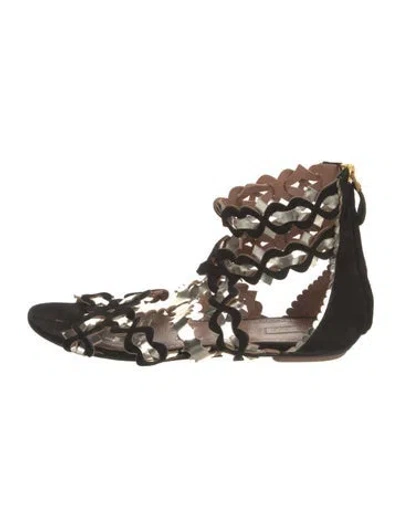 Pre-owned Alaïa Suede Cutout Accent Gladiator Sandals In Multi