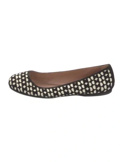 Pre-owned Alaïa Suede Printed Ballet Flats In Black