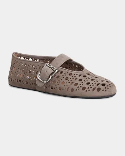 Alaïa Vienne Perforated Suede Buckle Ballerina Flats In Brown