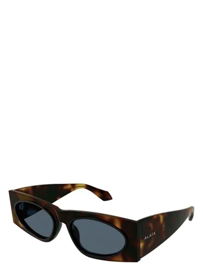 Alaïa Women's Cat Eye Sunglasses In Havana