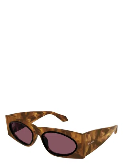 Alaïa Women's Cat Eye Sunglasses In Havana