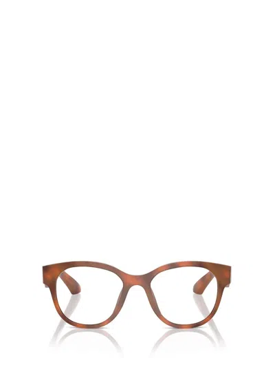 Alain Mikli Eyeglasses In Opal Light Brown Havana