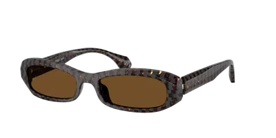 Alain Mikli Woman Sunglass A05512 In Brown