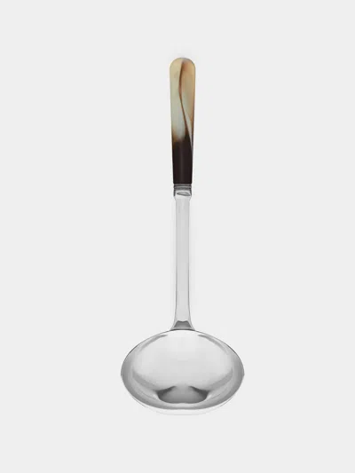 Alain Saint-joanis Iris Marbled Resin Soup Ladle In Silver