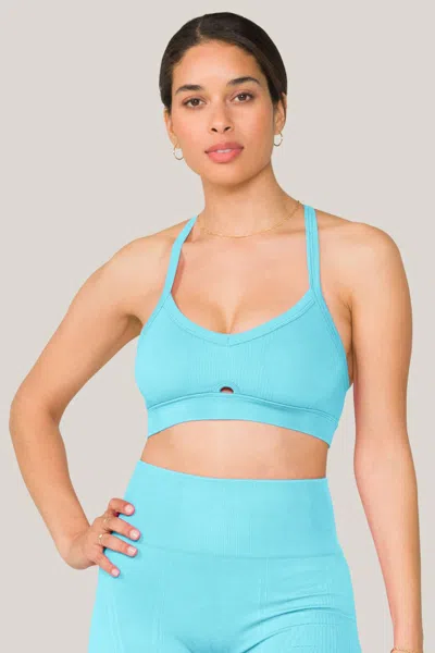 Alala Barre Cami Bra In Blue