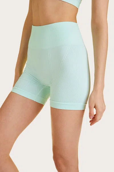 Alala Barre Seamless Short In Blue