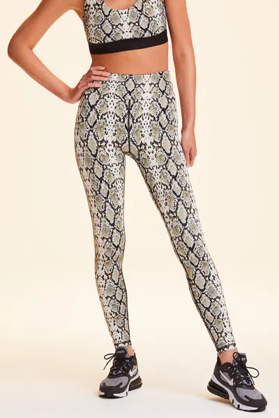 Alala Captain Ankle Tight In Multi