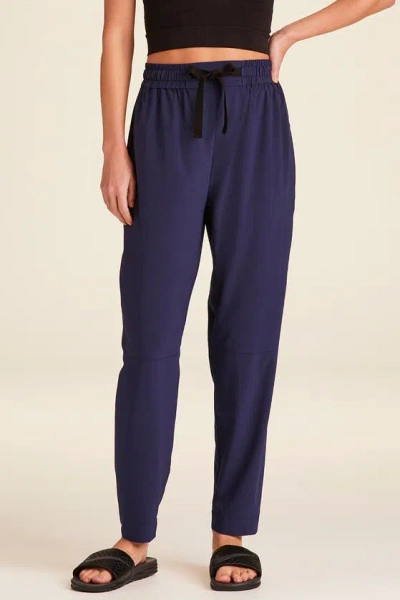 Alala Commuter Pant In Navy