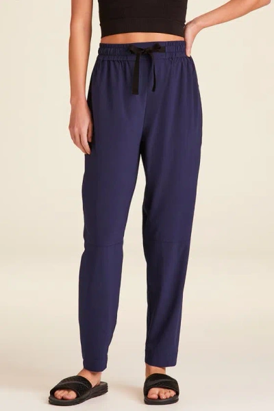 Alala Commuter Trouser In Navy