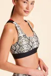 Alala Eclipse Bra In Multi