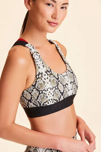 Alala Eclipse Bra In Multi