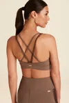 Alala Ribbon Bra In Grey