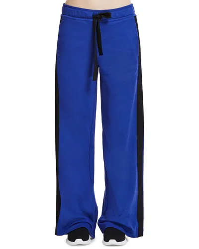 Alala Stripe Pant In Blue