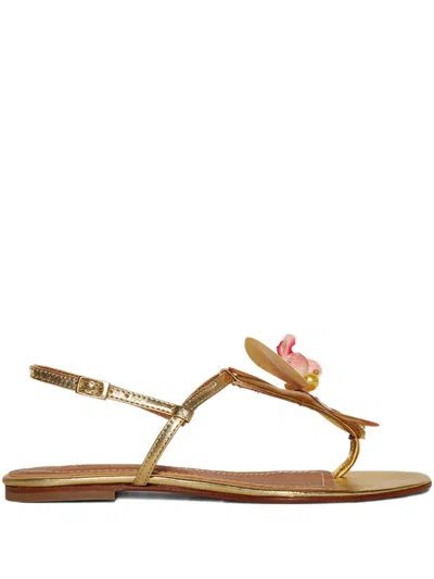 Alameda Turquesa Constance Sandals In Gold