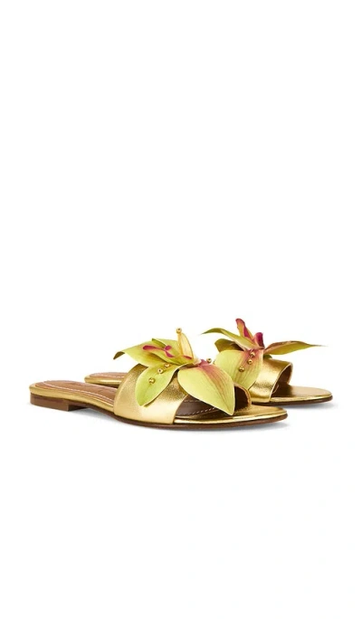 Alameda Turquesa Martha Sandal