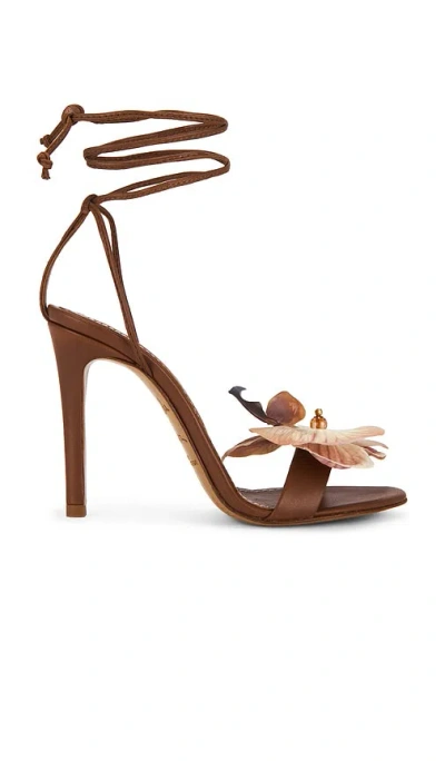 Alameda Turquesa Sandale Prudence In Brown