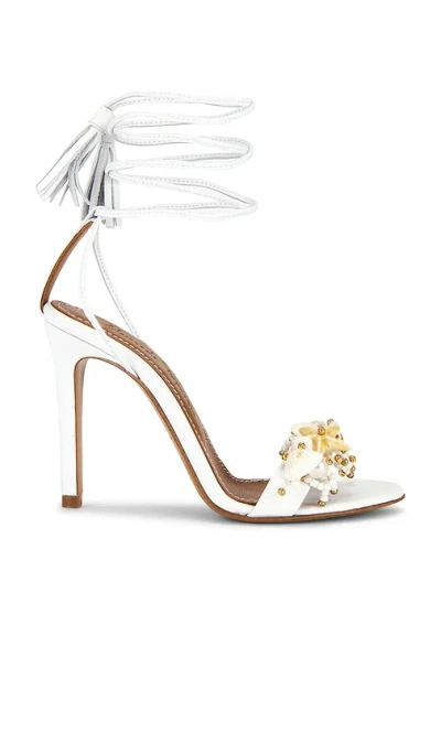 Alameda Turquesa Sandale Sirena In Multi