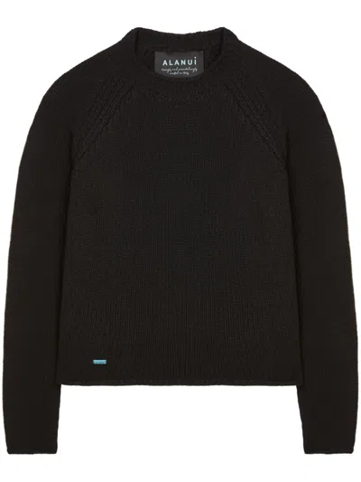 Alanui Cashmere-cotton Jumper In Schwarz