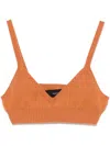 Alanui Cashmere Top In 褐色