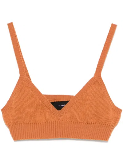 Alanui Cashmere Top In 褐色