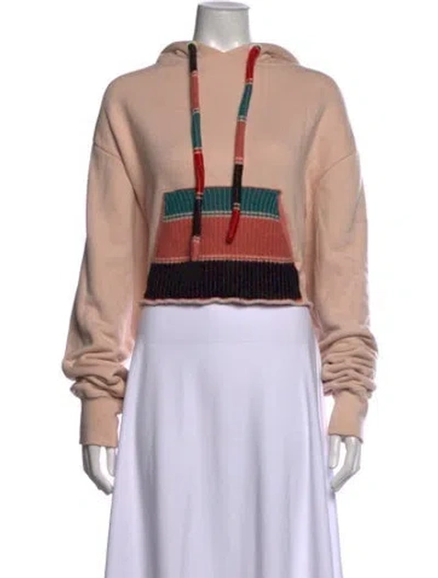 Pre-owned Alanui Colorblock Pattern Crew Neck Hoodie In Pink