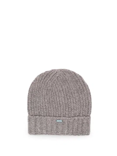 Alanui Finest` Beanie In Gray