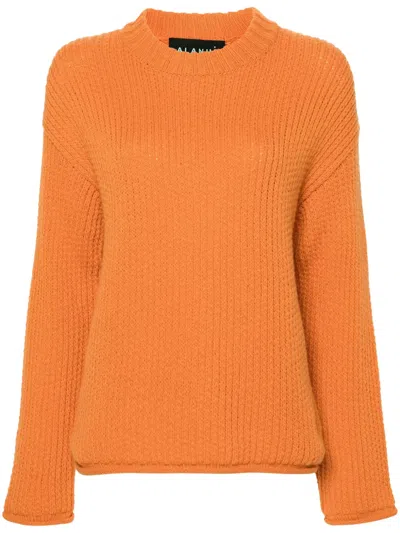 Alanui Finest Ribbed-knit Jumper In Orange