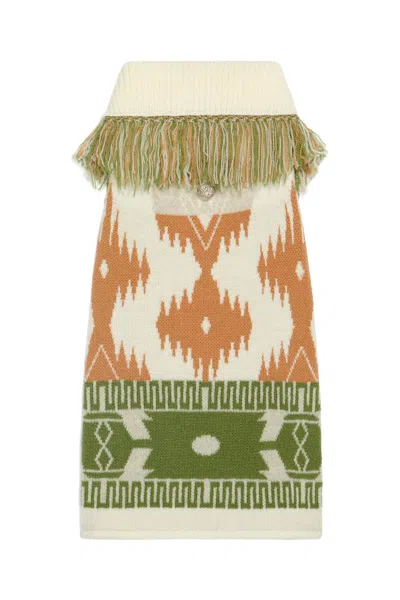 Alanui 'icon Sweater' X Poldo Dog Couture In Multi