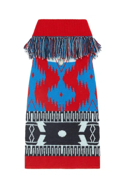 Alanui 'icon Sweater' X Poldo Dog Couture In Multi