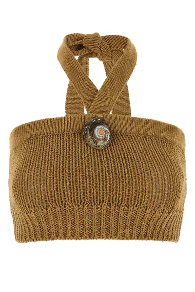 Alanui Island Memories Gold-tone Knit Mini Top In Brown