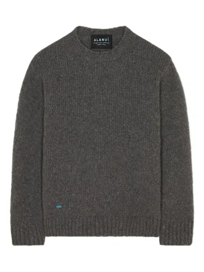 Alanui Knitted Crew-neck Sweater In Gray